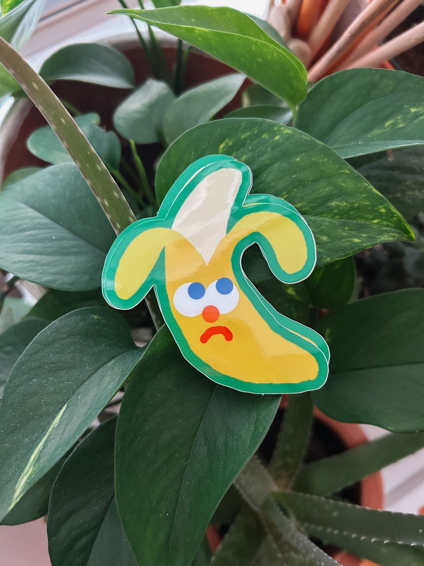 Sad Banana Sticker